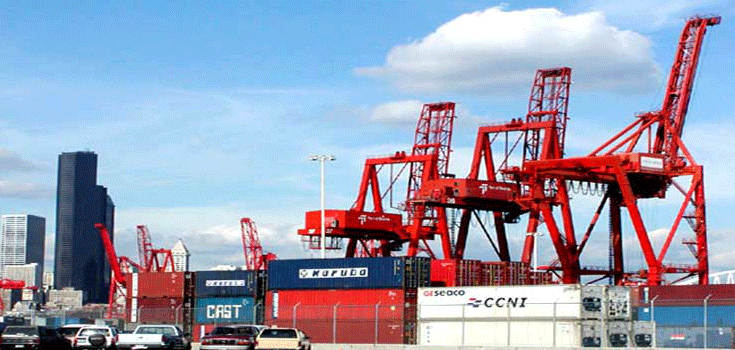 Cranes1